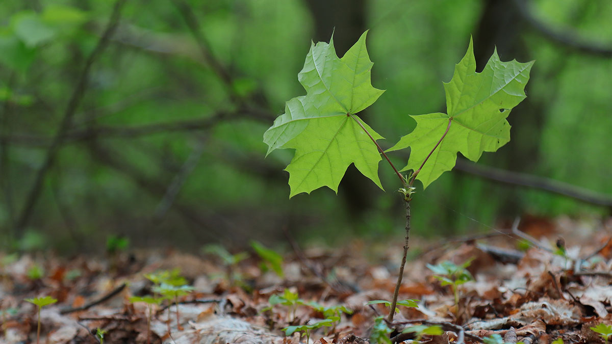 Lead with steadiness